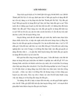 Đấu giá QSD đất trên địa bàn huyện Đông Anh.