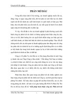 Giải pháp hoàn thiện công tác Phân tích tài chính doanh nghiệp của Công ty Cổ phần Tư vấn Đầu tư và Xây dựng Bưu điện