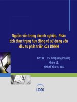 Nguồn vốn đầu tư trong doanh nghiệp. Thực trạng và giải pháp huy động và sử dụng vốn đầu tư phát triển trong doanh nghiệp 01