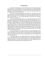 Báo cáo tổng hợp Công ty TNHH Thương mại và Dịch thuật ASEN