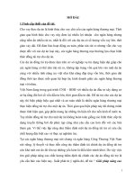Giải pháp nâng cao chất lượng thẩm định tài chính dự án đồng tài trợ trong hoạt động cho vay tại ngân hàng Công thương Việt Nam