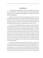 Vận dụng một số phương pháp thống kê phân tích lãi và lãi suất cho vay của Chi nhánh Ngân hàng Thương mại Cổ phần Đông Á Hà Nội giai đoạn 2001 - 2007