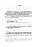 Một số ý kiến về xác định giá trị doanh nghiệp nhà nước cổ phần hóa qua trường hợp Công ty Cổ phần Dụng cụ cơ khí Xuất khẩu