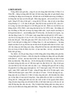 Ảnh hưởng của sự phát triển dân số tới sự phát triển kinh tế nước ta