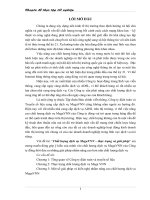 Chất lượng dịch vụ MegaVNN - Thực trạng và giải pháp