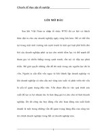 Một số giải pháp về huy động vốn đầu tư ở Công ty đầu tư và xuất nhập khẩu Đoàn Minh Giang