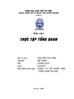 Tổng quan về Công ty Cổ phần Sơn Tổng hợp Hà Nội