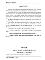 Phương pháp tính chỉ số giá tiêu dùng ở Việt Nam