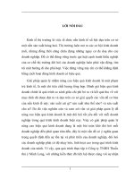 Giải pháp quản lý nhằm nâng cao hiệu quả kinh doanh của Cty TNHH Thuốc thỳ y Minh Long