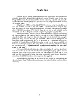 Cổ phần hóa một bộ phận Doanh nghiệp Nhà nước- thực trạng và Giải pháp