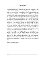 Huy động vốn trong quá trình công nghiệp hoá nông nghiệp