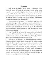 Vận tải đường Biển tại Cty giao nhận kho vận ngoại thương (VIETRANS) Thực trạng và Giải pháp