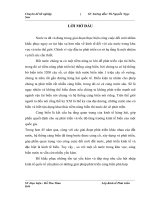 Giải pháp phát triển cảng biển quốc gia đáp ứng quá trình hội nhập kinh tế quốc tế Việt Nam