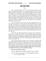 Báo cáo tại Cty Việt á.