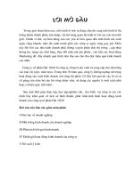 Môi trường kinh doanh của Doanh nghiệp