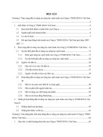 Đầu tư nâng cao năng lực cạnh tranh ở Công ty TNHH SENA Việt Nam - Thực trạng và giải pháp