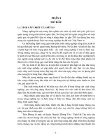 Thực trạng & 1 số giải pháp chủ yếu phát triển kinh tế nông hộ tại xã Tiền Phong - huyện Thường Tín - Hà Tây