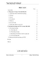 BÁO CÁO THỰC TẬP TẠI Công ty Tài chính Dầu khí