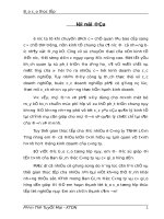 Báo cáo thực tập tại Công ty TNHH Lâm Tùng