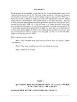 Báo cáo thực tập tổng hợp về công ty cổ phần tư vấn sông Đà.doc