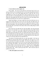 Phương pháp thống kê trong phân tích tình hình phát triển công nghiệp - thủ công ở CHĐCN Lào (85-89) & dự báo