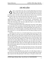 Hoàn thiện hạch toán quá trình bán hàng và xác định kết quả bán hàng ở Công ty Cổ phần TM & TV Tân Cơ