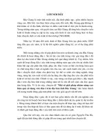 Một số Giải pháp nhằm nâng cao hiệu quả sử dụng vốn đầu tư trên địa bàn tỉnh Bắc Giang