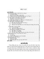 Báo cáo tổng hợp tại Công ty cổ phần xây dựng số 6 Thăng Long