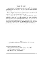 Báo cáo tổng hợp Công ty cổ phần đầu tư & xuất nhập khẩu Đoàn Minh Giang JSC.doc