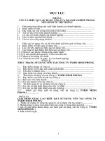 Giải pháp nâng cao hiệu quả sử dụng vốn tại Công ty TNHH Minh Phong