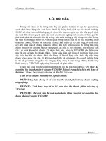 Tổ chức TTTP ở Cty VIDAMO Hà Nội trong điều kiện nền KTTT