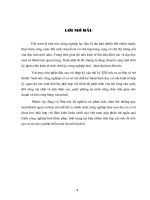 Quan điểm , định hướng & Giải pháp của chính sách CNH ở VN