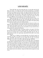 Luật đầu tư nước ngoài tại VN năm 2000 - Những vấn đề pháp lý cơ bản