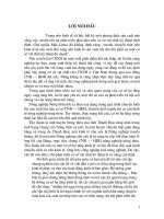 Đánh giá kết quả sử dụng và Một số Giải pháp nâng cao hiệu quả sử dụng vốn đầu tư cho xây dựng cơ sở hạ tầng kỹ thuật của huyện