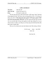 Giải pháp phát triển ngành Công nghiệp phụ trợ thuộc ngày Công nghiệp đóng tàu Việt Nam trong giai đoạn 2010 - 2015