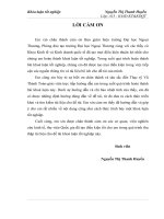 Bảo hộ thương mại trong bối cảnh Việt Nam là thành viên của WTO-thực trạng và giải pháp