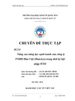 Nâng cao năng lực cạnh tranh của Cty TNHH Hàn Việt (Hanvico) trong thời kỳ hội nhập WTO