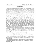 Báo cáo Tổng Hợp của Công ty xe đạp VIHA