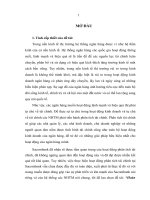 Hoàn thiện hoạt động phân tích tài chính tại Ngân hàng Thương mại Cổ phần Sài Gòn Thương Tín