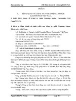 Công ty TNHH amaha motor electronics Việt nam