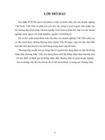 Vận dụng lý luận tích lũy tư bản vào thực tiễn VN.