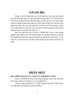 Báo cáo tổng hợp Công ty Trách nhiệm hữu hạn Đức Cường.doc