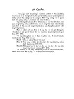 Thực trạng và Giải pháp phát triển nhà ở đô thị nước ta