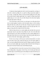 Hiệu quả sản xuất kinh doanh và quá trình cổ phần hoá của công ty cổ phần ba nhất