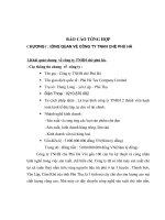 Báo cáo tổng hợp Công ty TNHH chè Phú Hà