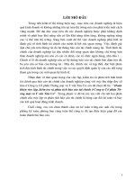 Hoàn thiện việc lập, kiểm tra và phân tích báo cáo tài chính ở Công ty Cổ phần Thương mại và Tư vấn Tân Cơ