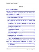 Hoàn thiện kênh phân phối của công ty sơn Lucky House Việt Nam