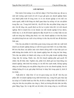 Tiêu thụ sản phẩm và giải pháp nâng cao chất lượng tiêu thụ sản phẩm của công ty Cổ phần bánh kẹo Hải Hà