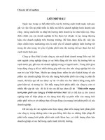 Phát triển mạng lưới phân phối của Công ty TNHH ôtô Hoa Mai