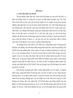 Thực trạng và nhưng Giải pháp cho công tác quy hoạch sử dụng đất